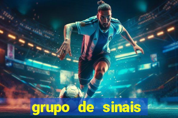 grupo de sinais trader telegram